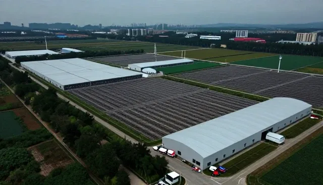 技术外包合作中选型的关键考量因素